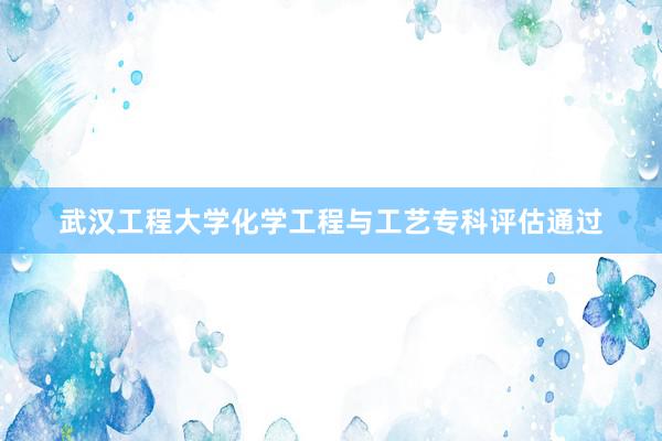 武汉工程大学化学工程与工艺专科评估通过